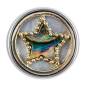 Preview: NOOSA Amsterdam ABALONE STAR CHUNK & CHARM Gift Set