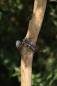 Preview: QOSS Armband ZOEY gold creme mit Herz
