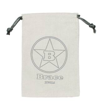 iXXXi Brace Jewel Bag
