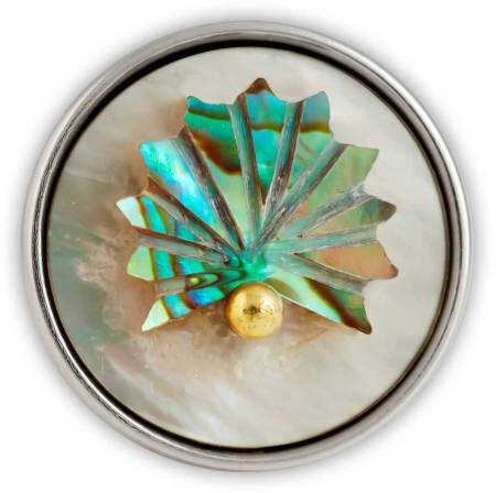 NOOSA-Amsterdam ORIGINAL Chunk VENUS SHELL