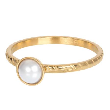 iXXXi Füllring DYNASTY gold - 2 mm