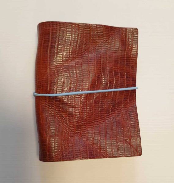 LUCA KAYZ Memo-Kalender DIN A6 Reptile cognac Band blau