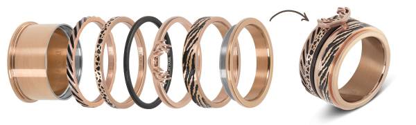 iXXXi Ringkonzept