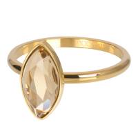 iXXXi Füllring ROYAL DIAMOND TOPAZ gold - 2 mm